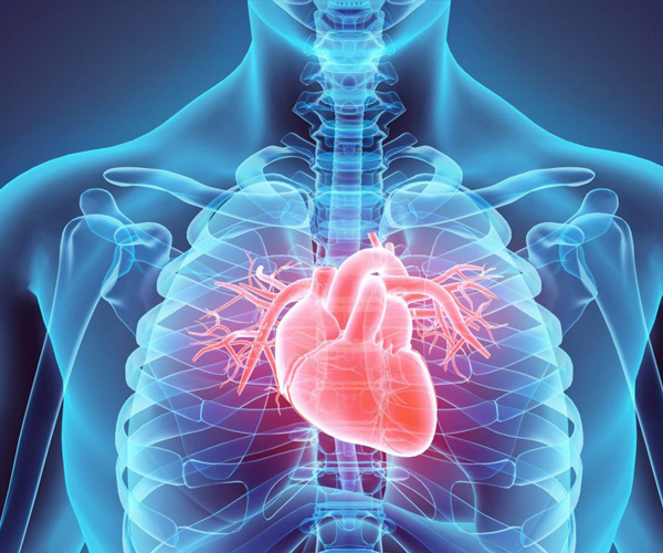 Cardiology