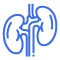 Nephrology